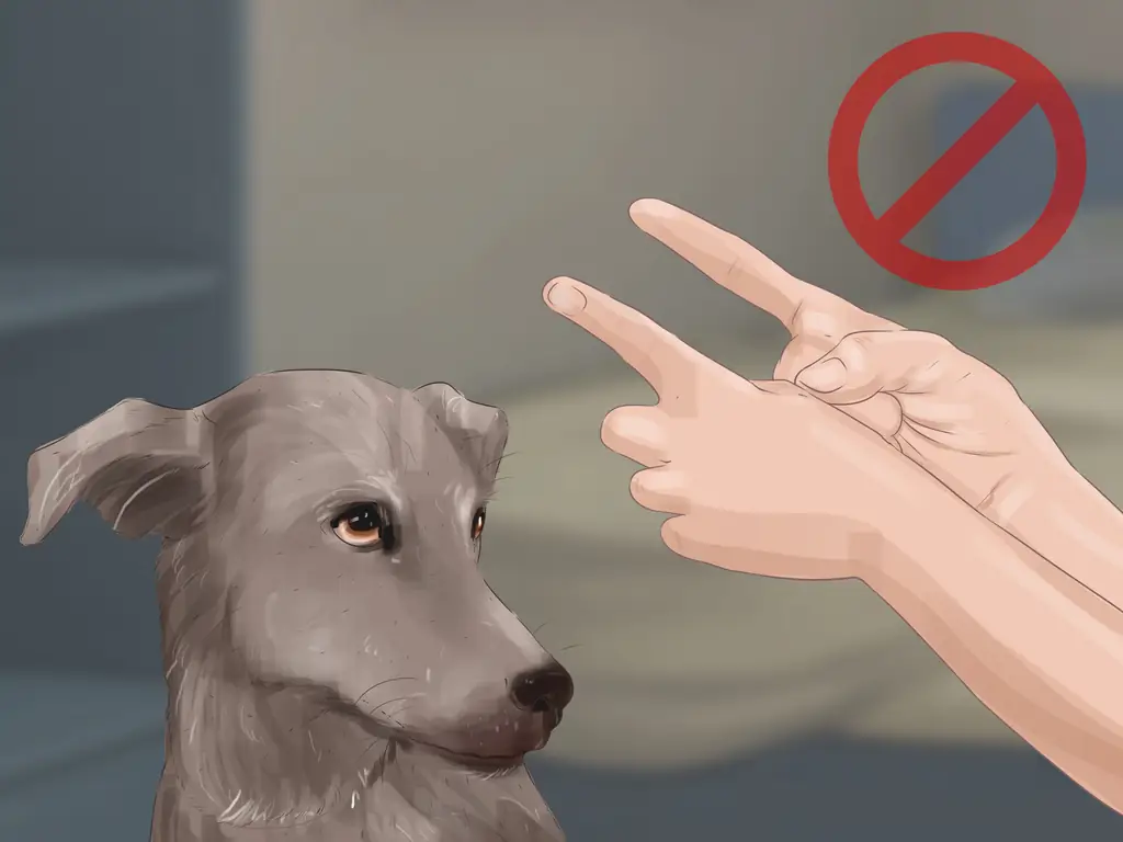 Как распознать страх у собак (с картинками)