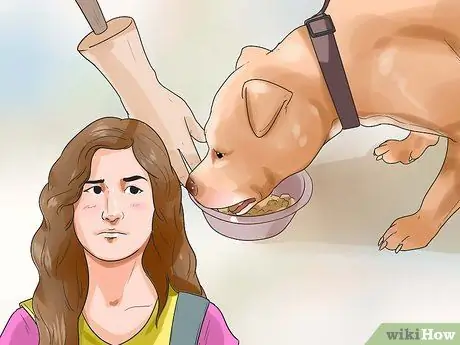 Получите вашей собаке платные выступления на телевидении, шаг 1