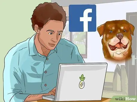 Получите свою собаку платные выступления на телевидении, шаг 12