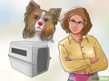 Получите вашей собаке платные выступления на телевидении, шаг 4