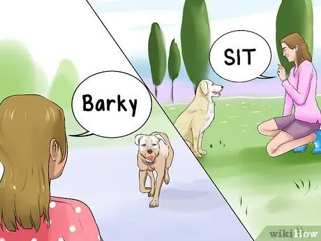 Поощряйте вашу новую собаку слушать вас Шаг 5