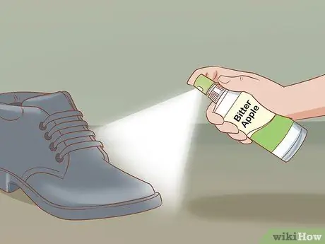 Предотвратите плохое поведение вашего чихуахуа Шаг 5