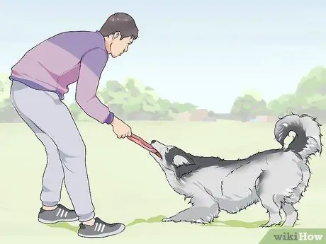 Связь с нуждающейся собакой, шаг 1