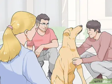 Связь с нуждающейся собакой Шаг 10