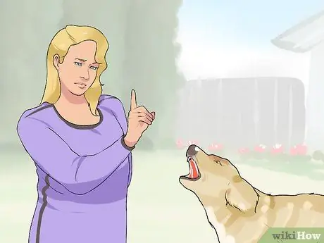 Связь с нуждающейся собакой Шаг 11