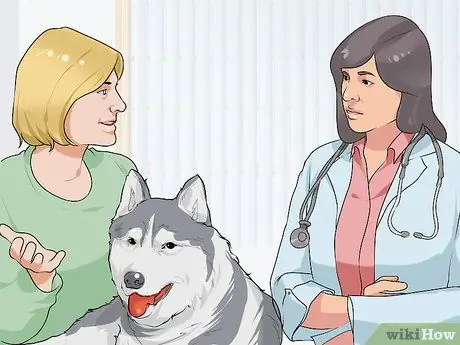 Связь с нуждающейся собакой Шаг 14