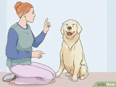 Связь с нуждающейся собакой, шаг 2