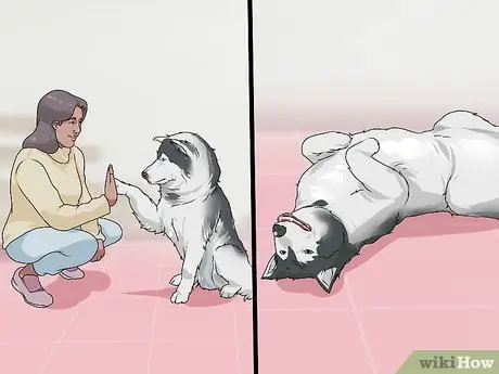 Связь с нуждающейся собакой, шаг 3