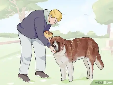 Связь с нуждающейся собакой Шаг 4