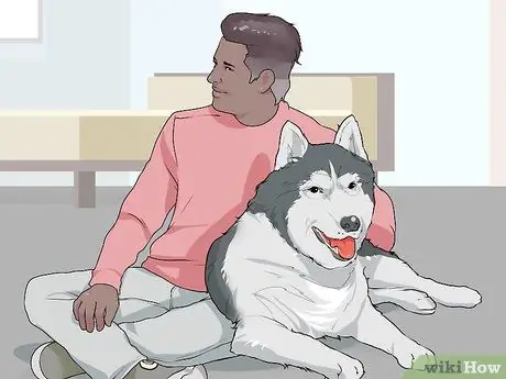 Связь с нуждающейся собакой Шаг 5