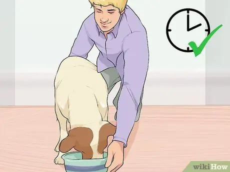 Связь с нуждающейся собакой Шаг 6