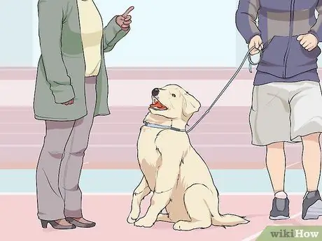 Связь с нуждающейся собакой Шаг 7