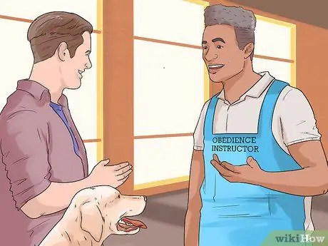 Разберитесь со своей надоедливой собакой Шаг 11