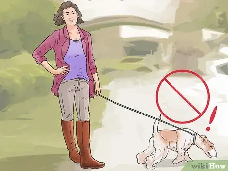 Разберитесь со своей надоедливой собакой Шаг 3