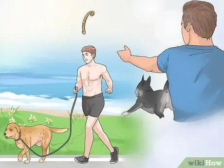 Разберитесь со своей надоедливой собакой Шаг 7