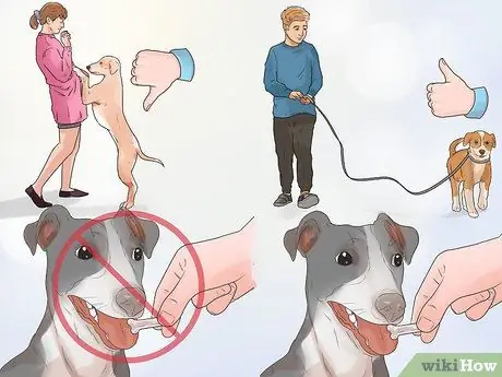 Разберитесь со своей надоедливой собакой Шаг 8