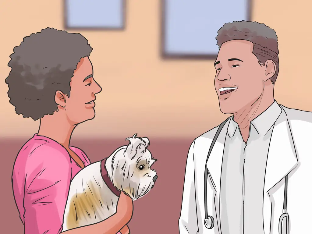 Как справиться с раздражающей собакой: 13 шагов (с иллюстрациями)