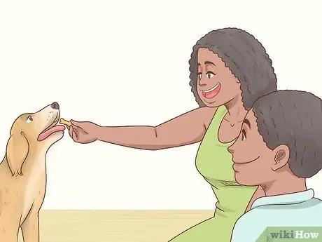 Помогите собаке преодолеть страх перед детьми Шаг 4