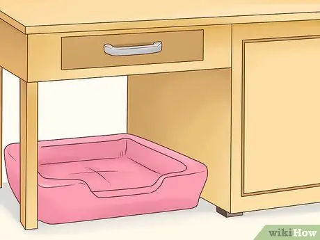 Помогите собаке преодолеть страх перед детьми Шаг 5