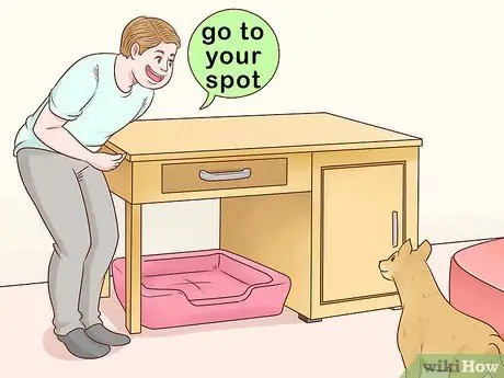 Помогите собаке преодолеть страх перед детьми Шаг 6