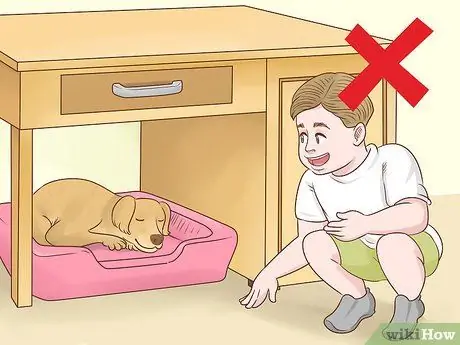 Помогите собаке преодолеть страх перед детьми Шаг 7