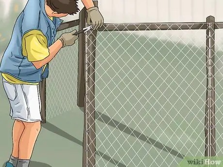 Не позволяйте собаке гнать лошадей Шаг 11