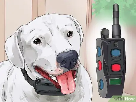 Не позволяйте собаке гнать лошадей Шаг 12