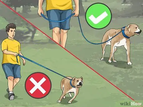 Удерживайте собаку от погони за лошадьми Шаг 2