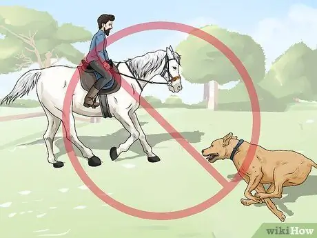 Не позволяйте собаке гнать лошадей Шаг 9