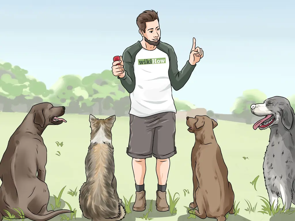 Как удержать собаку от погони за лошадьми: 13 шагов (с иллюстрациями)