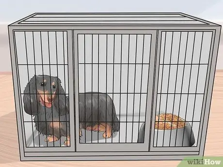 Заставьте собаку перестать рычать на вас во время еды Шаг 11