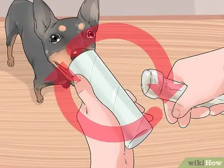 Заставьте собаку перестать рычать на вас во время еды Шаг 8