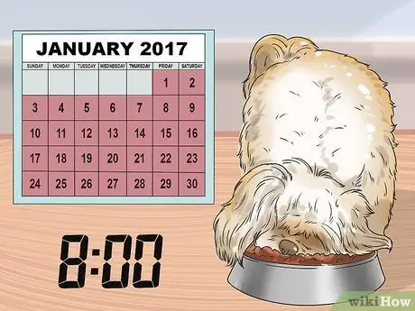 Заставьте собаку перестать рычать на вас во время еды Шаг 9