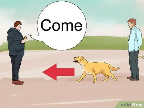 Удерживайте собаку от погони за машинами Шаг 2