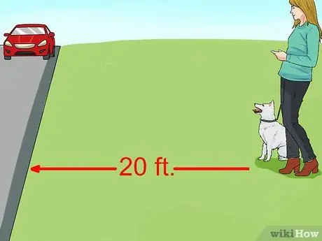 Не давайте собаке погоню за машинами Шаг 5