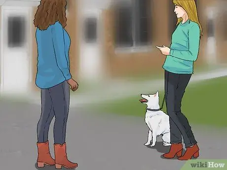 Не давайте собаке погоню за машинами Шаг 9