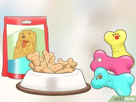 Помогите собаке приспособиться к распорядку вашего дома Шаг 2