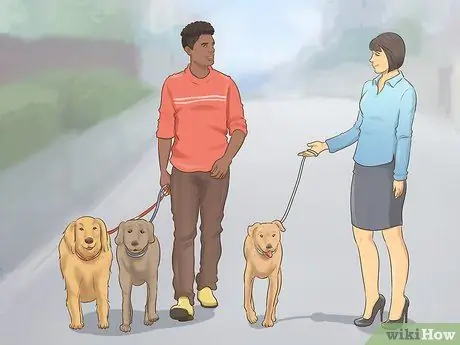 Помогите собаке приспособиться к распорядку дня в вашем доме Шаг 3