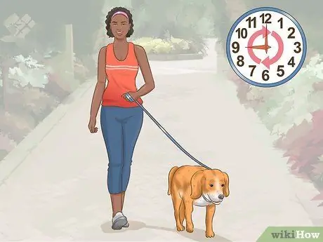 Помогите собаке приспособиться к распорядку домашнего хозяйства Шаг 7