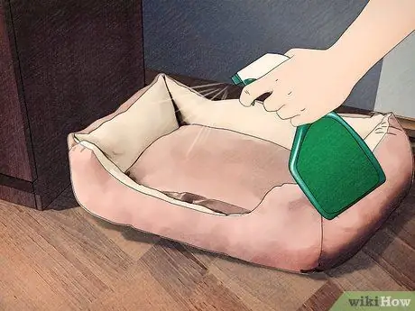 Защитите собак от ядовитых насекомых Шаг 11