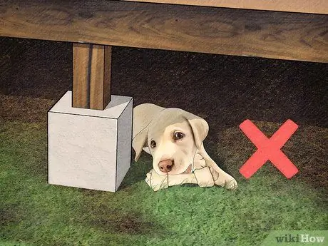 Защитите собак от ядовитых насекомых Шаг 13