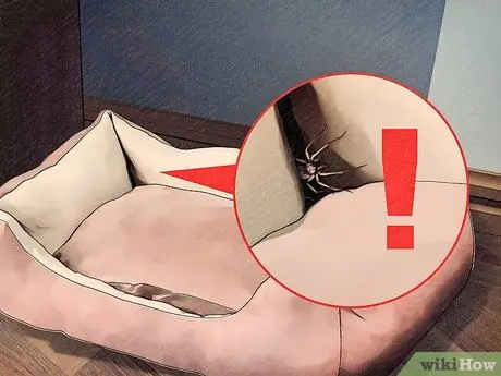 Защитите собак от ядовитых насекомых Шаг 16