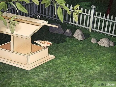 Защитите собак от ядовитых насекомых Шаг 3