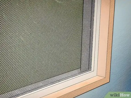 Защитите собак от ядовитых насекомых Шаг 4