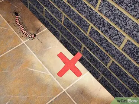 Защитите собак от ядовитых насекомых Шаг 8