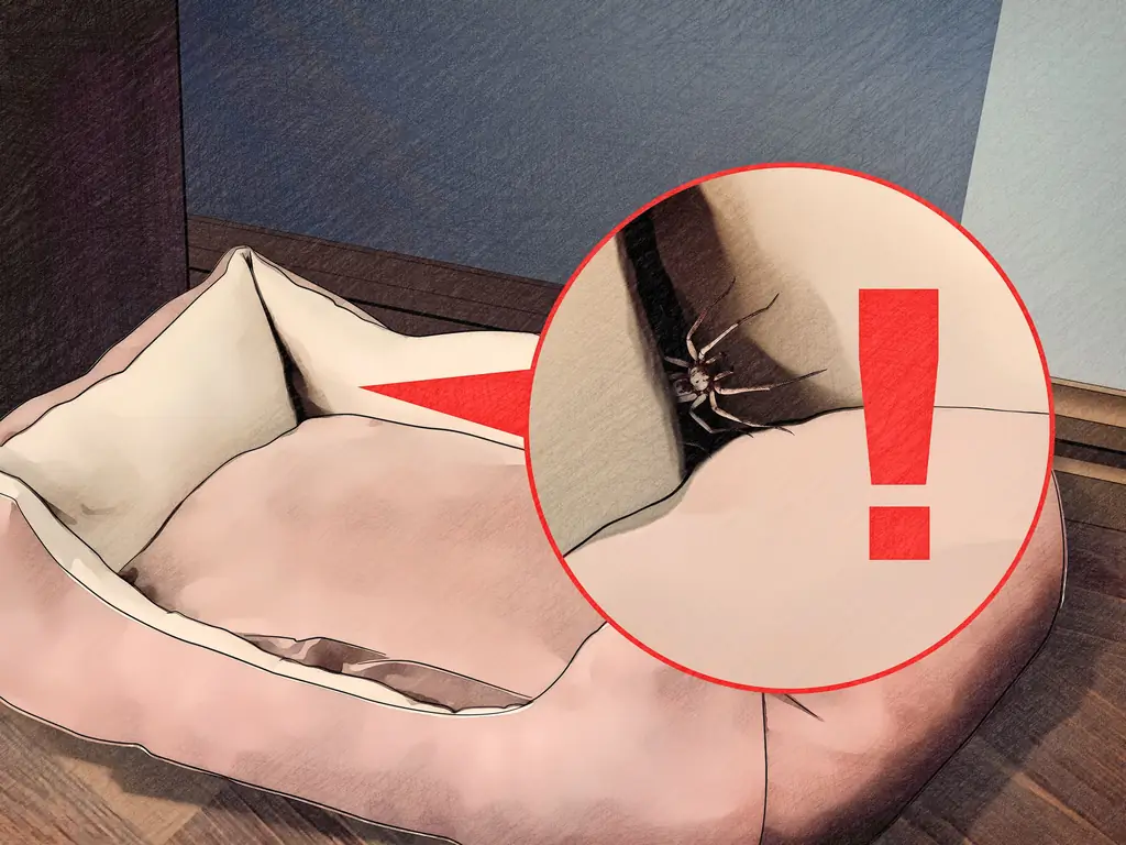 4 способа защиты собак от ядовитых насекомых