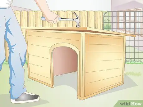 Подготовьте двор для собаки Шаг 10