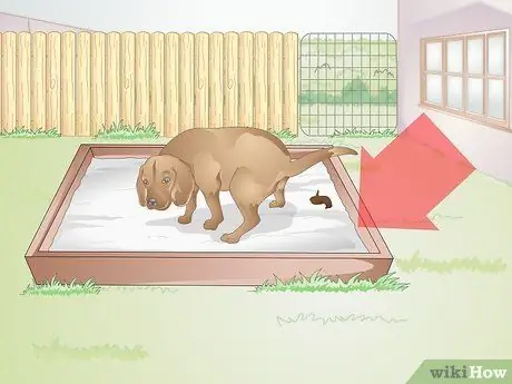 Подготовьте двор для собаки Шаг 11