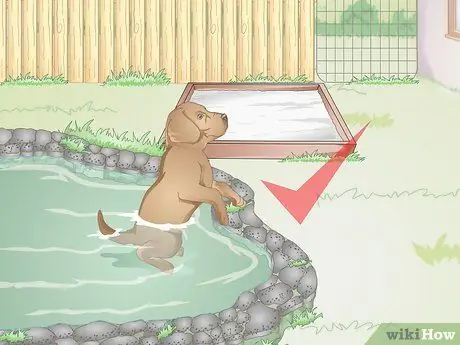 Подготовьте двор для собаки Шаг 12