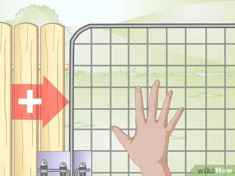 Подготовьте двор для собаки Шаг 6